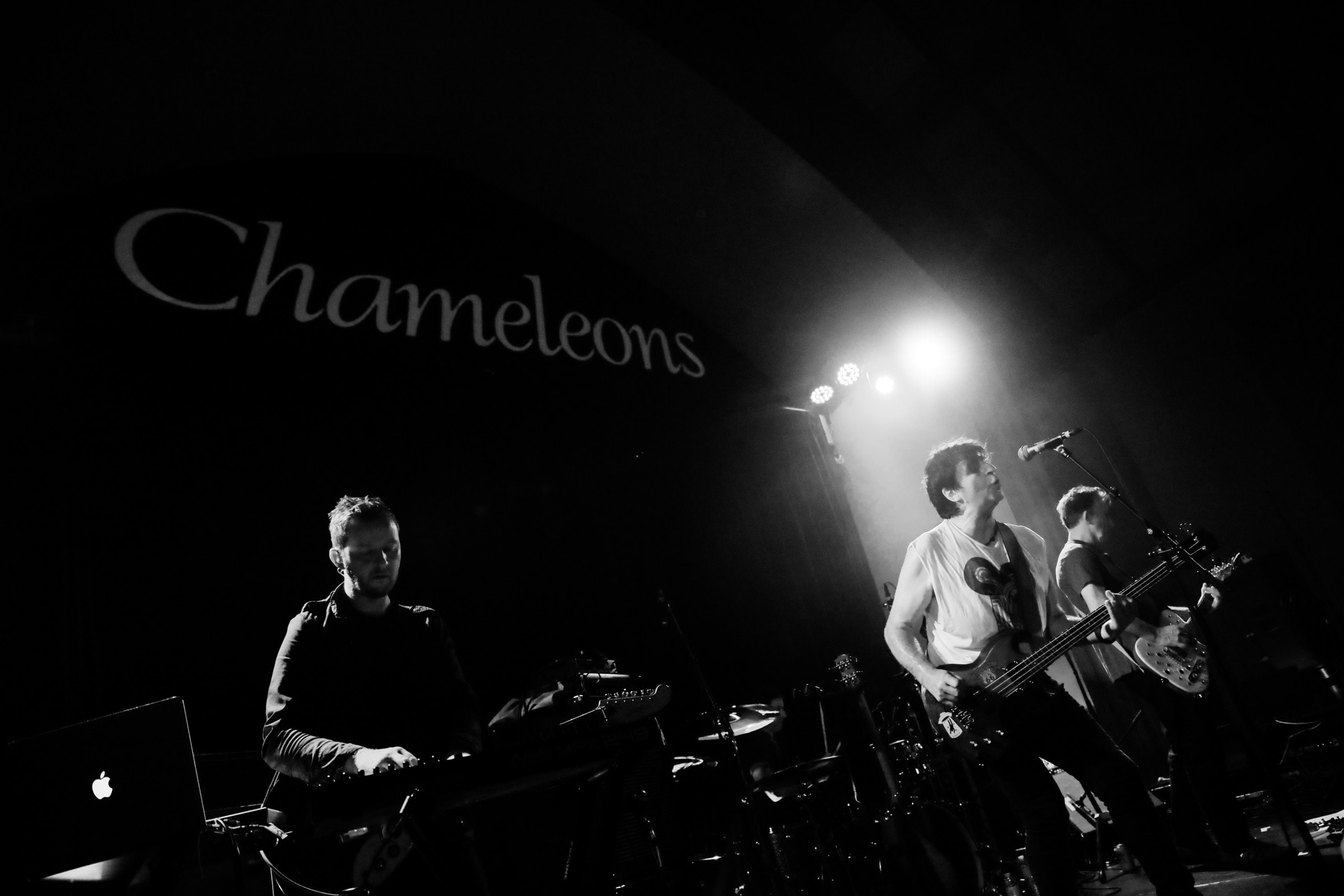 the chameleons at the chapel san francisco misti layne